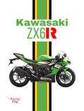 Kawasaki ZX-6R — Édition Pure