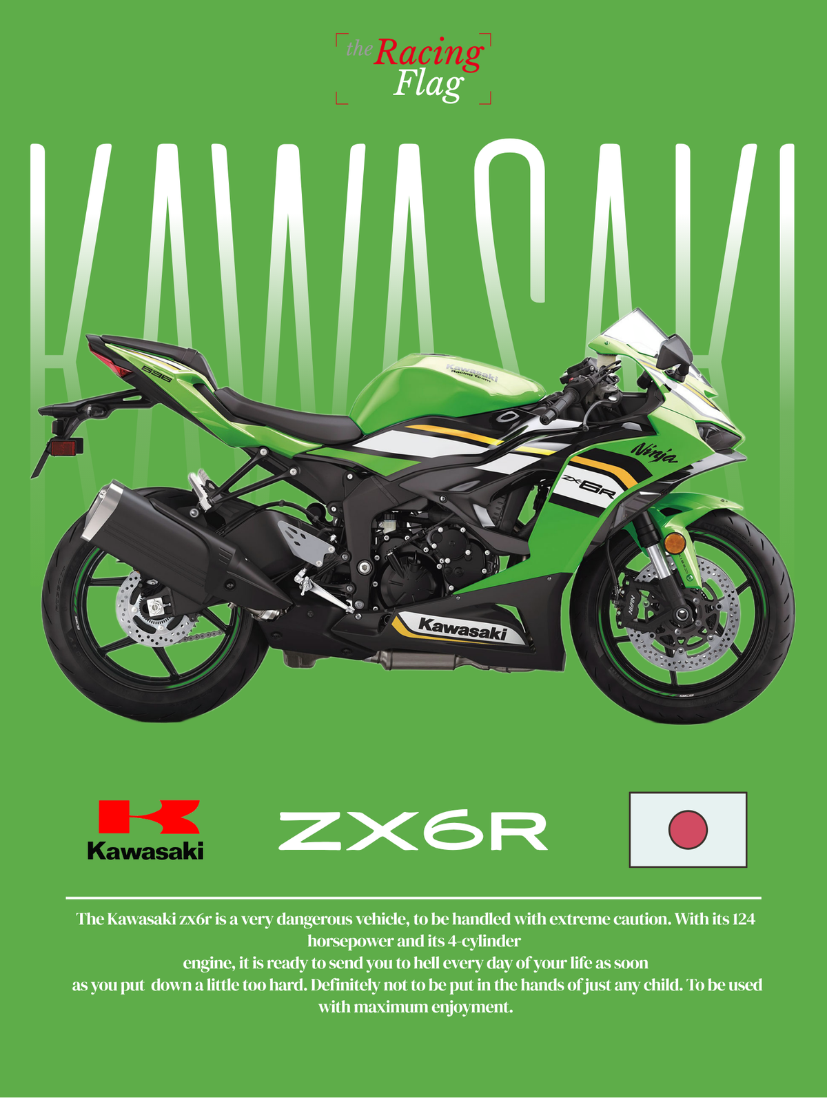 Kawasaki ZX-6R — Édition Racing #2