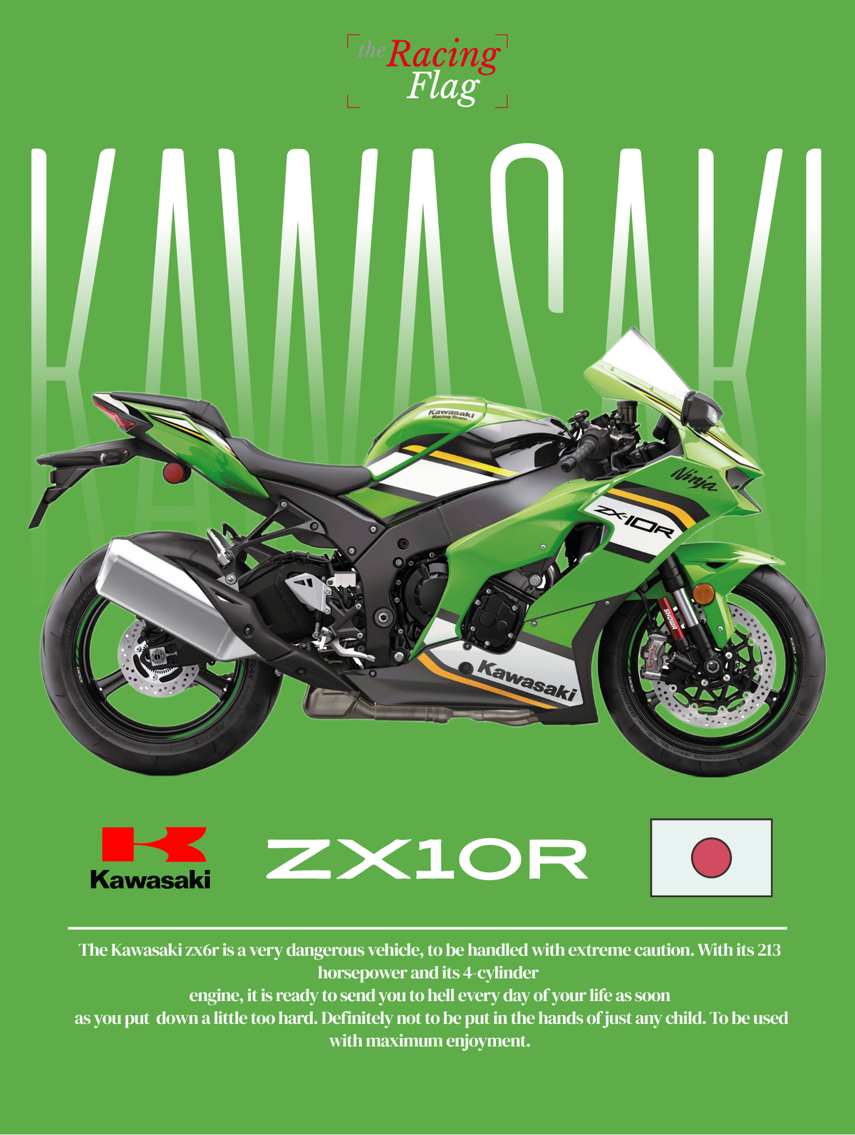 Kawasaki ZX-10R — Édition Racing #2