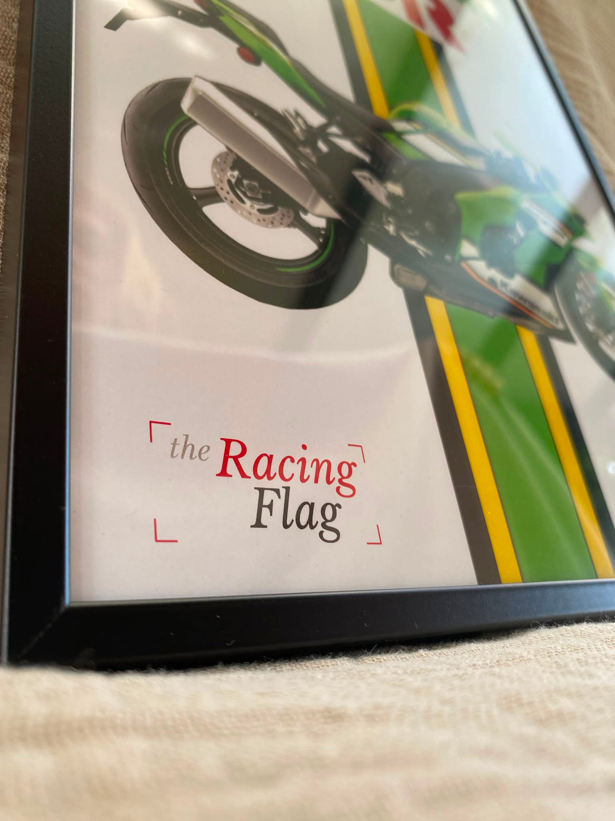 Kawasaki ZX-10R — Édition Pure